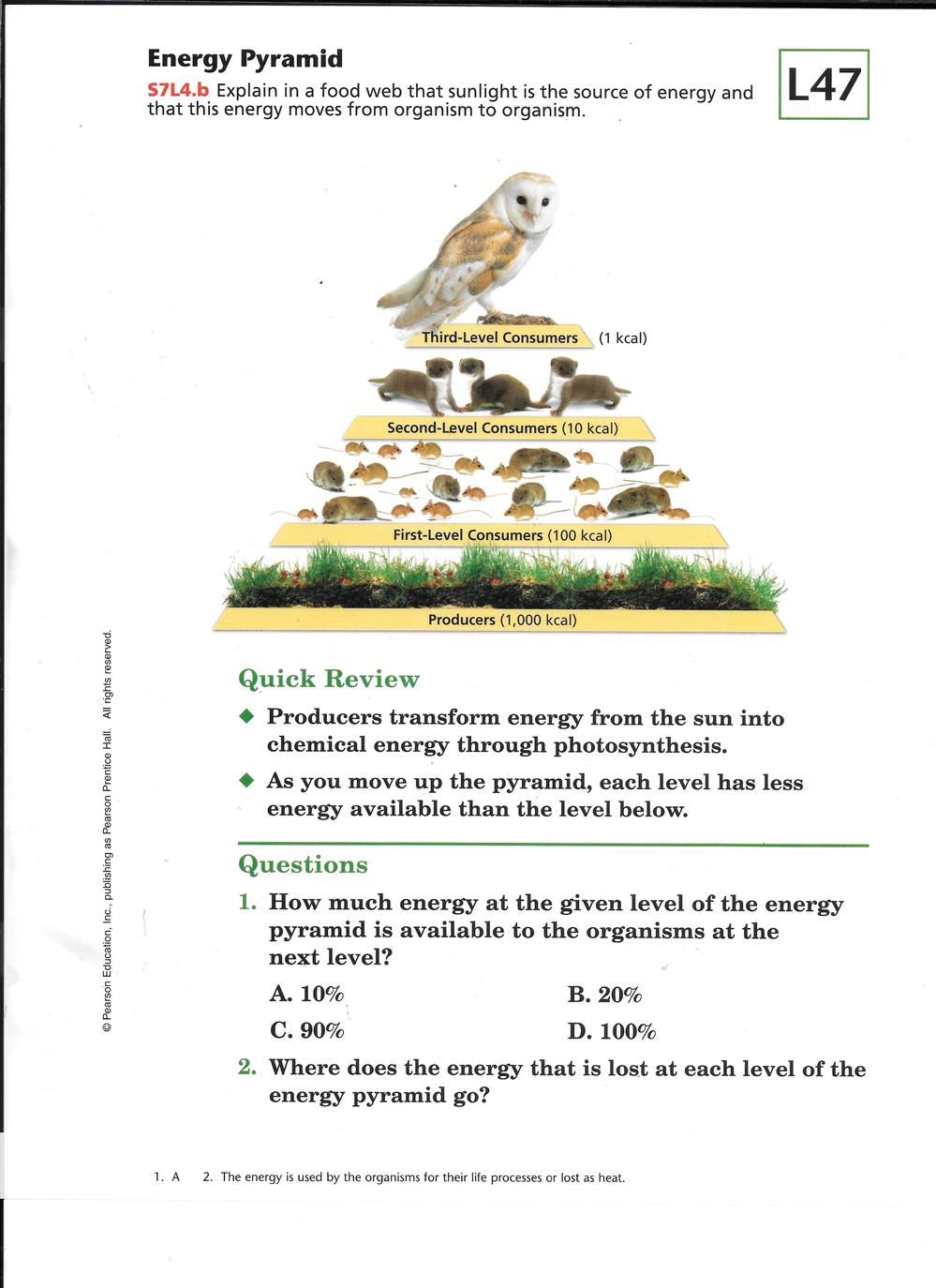 Energy Pyramid